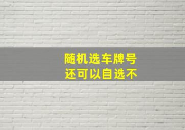 随机选车牌号 还可以自选不